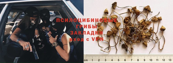 скорость Новодвинск