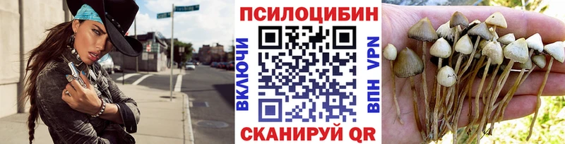 Псилоцибиновые грибы MAGIC MUSHROOMS  Пучеж 